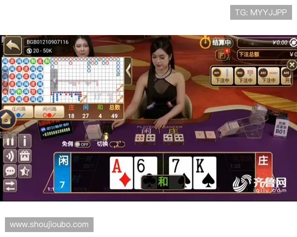 全面解析真人百家乐游戏的规则与策略提升你的胜率