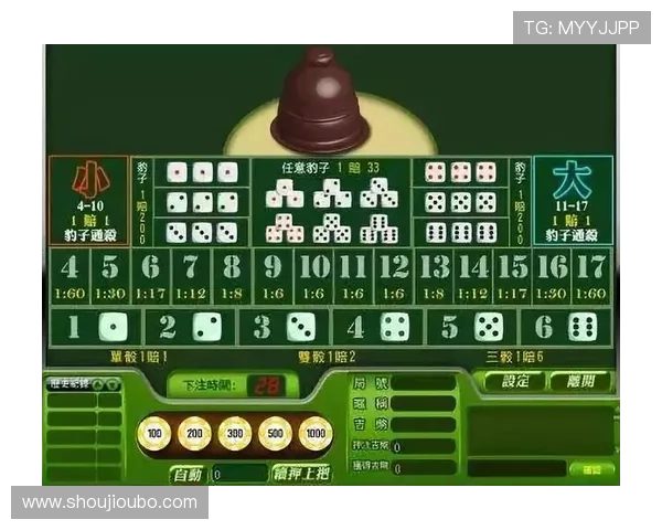 澳门百家乐规则与技巧全攻略让你在赌场中稳操胜券实现盈利