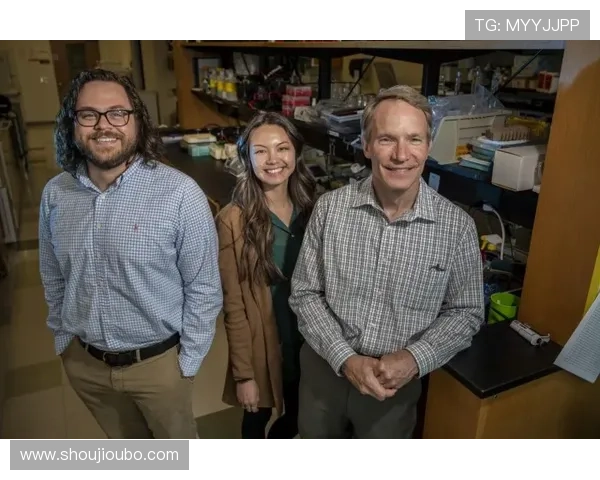 百家乐龙虎斗扑克牌的常见错误与避免方法,帮助新手快速上手赢得更多胜利 百家乐龙虎斗扑克牌的常见错误与避免方法,帮助新手快速上手赢得更多胜利