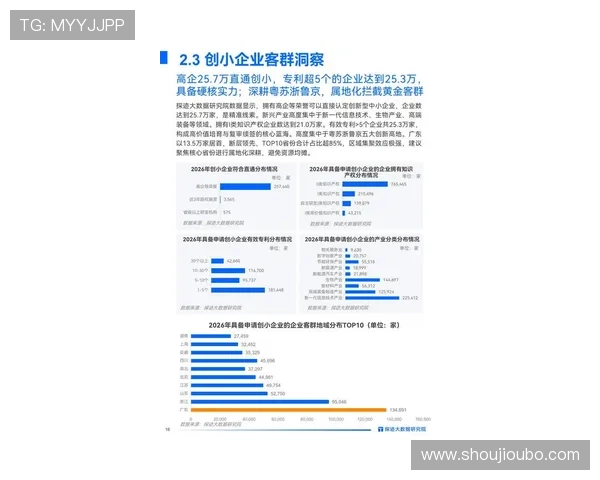 DS视讯在2026年的最新技术革新与未来发展趋势全面分析报告