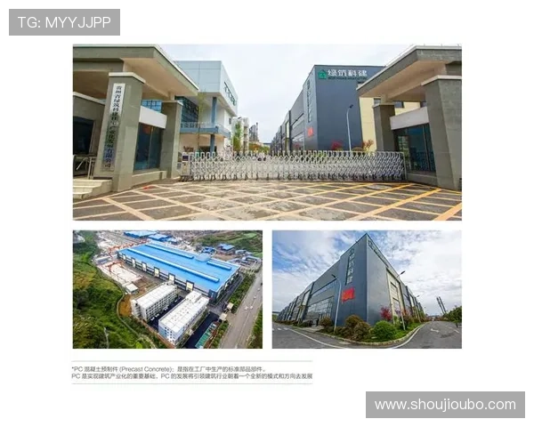 欧博电子商务有限公司的核心业务模式与多元化发展路径探讨